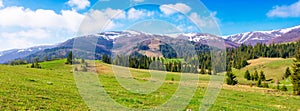 Carpathian countryside in springtime