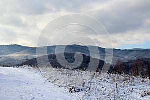 Carpathian forests.