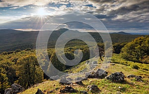 Carpathian green mountain with sun