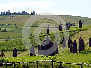 Carpathian landscape