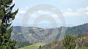 Carpathian landscape