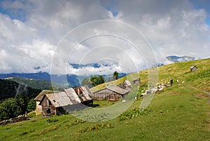 Carpathian landscape