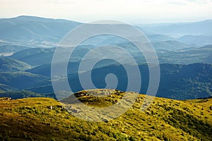 carpathian landscape with grassy hills and meadows in evening light