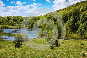 carpathian landscape with lake among forest