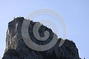 Carpathian Montain rock in Romania, Pine forest