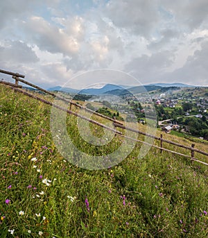 Carpathian mountain countryside summer meadows with beautiful wild flowers