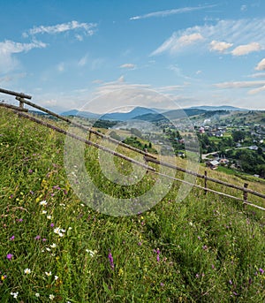 Carpathian mountain countryside summer meadows with beautiful wild flowers