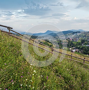 Carpathian mountain countryside summer meadows with beautiful wild flowers