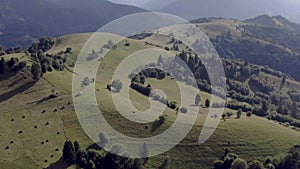 Carpathian Mountain Range in Summer: Lush Green Aerial Panorama