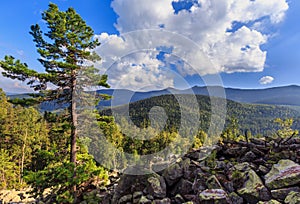 Carpathian Mountain summer landscape with big pine tree, sky with cumulus clouds, fir forest and slide-rocks Ihrovets, Ukraine