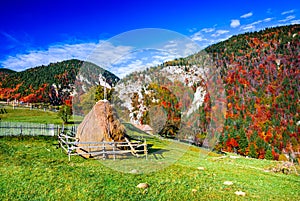 Carpathian Mountains, Autumn landscape in Magura