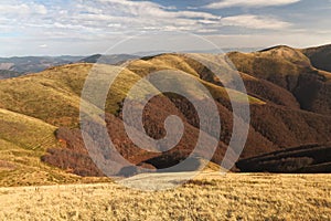 Carpathian mountains beautiful autumn landscape. Grass is a golden color. Forest