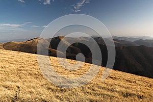 Mountain landscape. View of the Carpathian Mountains and the beautiful forests