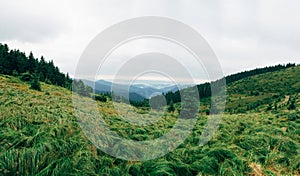 Carpathian mountains