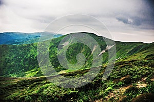 Carpathian mountains