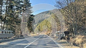 Carpathian Mountains - Deciduous and Coniferous - Romania