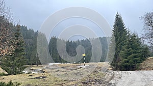 Carpathian Mountains - Deciduous and Coniferous - Romania