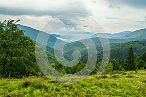 Carpathian mountains and forest.