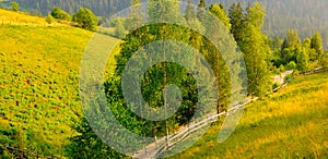 Carpathian mountains. grassy meadows and forested hill. Wide photo