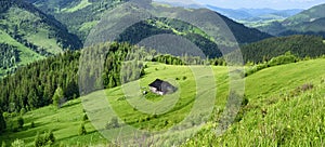 Carpathian mountains green hills nature background