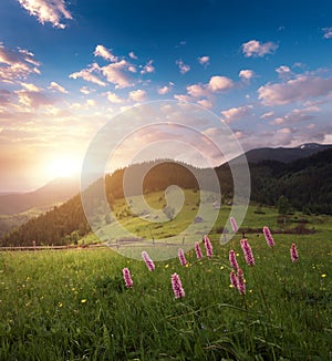 Carpathian mountains idyllic sunset landscape. Rural countryside in Ukraine