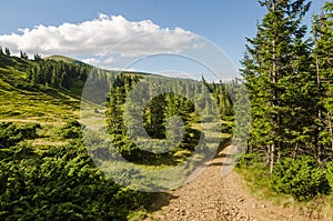 Carpathian Mountains next to Dragobrat, Ukraine