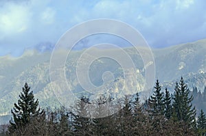 The Carpathian Mountains with pines forest, colored trees, cloudy vibrant sky, autumn-winter time. Predeal, Romania