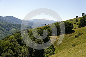 Carpathian Mountains Sibiu county Romania