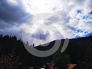 Carpathian mountains, spruce forest, sunny day.  The foot of the mountain Zahar Berkut.