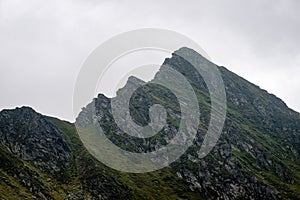 Carpathian mountains in summer