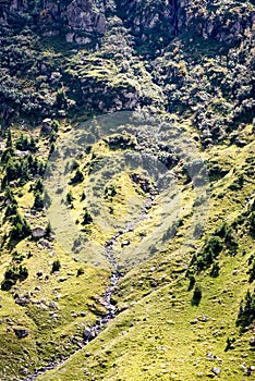 Carpathian mountains in summer