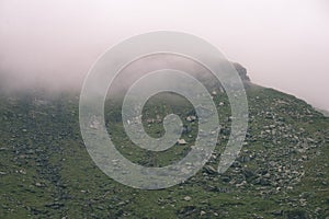 Carpathian mountains in summer - vintage film effect