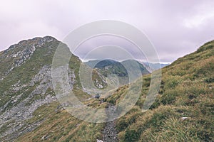 Carpathian mountains in summer - vintage film effect