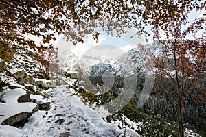 Carpathian mountains in winter snow