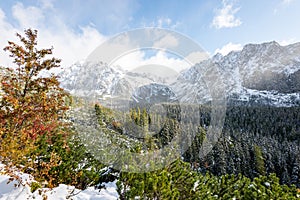 Carpathian mountains in winter snow