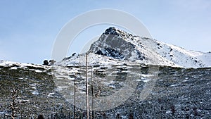 Carpathian mountains in winter snow