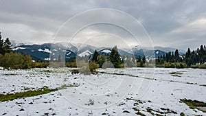 Karpaty v zime sneh