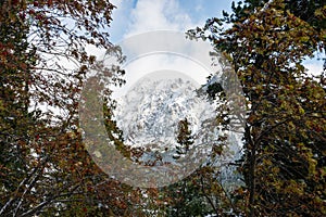 Carpathian mountains in winter snow