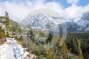 Carpathian mountains in winter snow