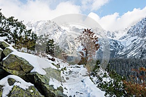 Carpathian mountains in winter snow