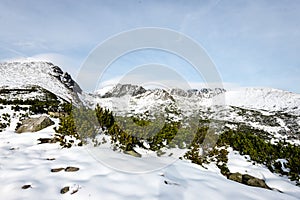 Carpathian mountains in winter snow