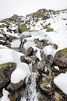 Carpathian mountains in winter snow