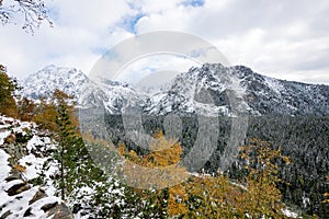 Carpathian mountains in winter snow