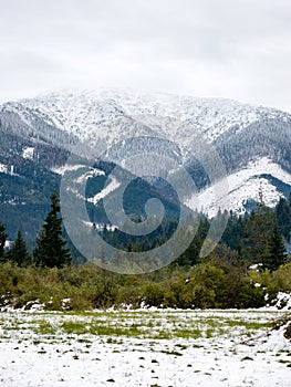 Carpathian mountains in winter snow