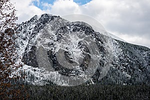 Carpathian mountains in winter snow