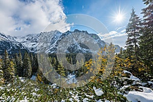 Carpathian mountains in winter snow