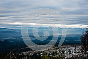 Carpathian mountains in winter snow