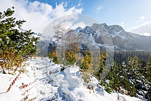 Karpaty v zimě sníh
