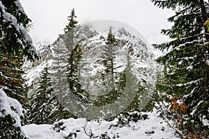 Karpaty v zimě sníh