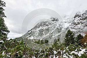 Carpathian mountains in winter snow